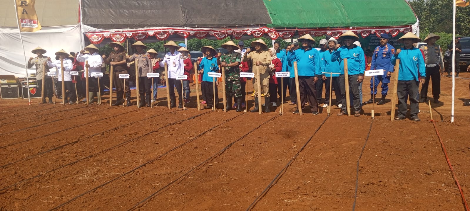 Ketua Komisi B DPRD Jepara, Purwanto Dukung Penuh Penanaman Jagung Serentak di Desa Kancilan